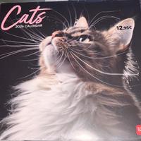 Calendario 2026 Cats Legami