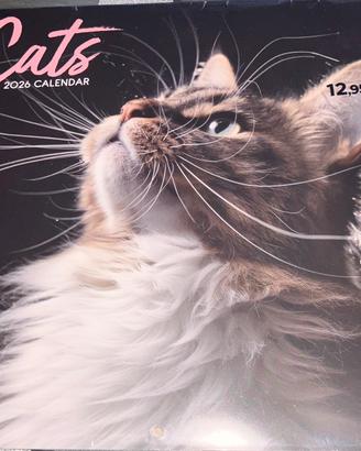 Calendario 2026 Cats Legami