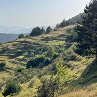 Terreno Panoramico Provincia Imperia