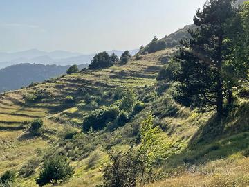 Terreno Panoramico Provincia Imperia