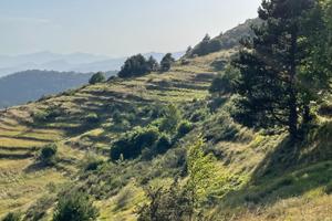 Terreno Panoramico Provincia Imperia