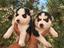 Immagine 1