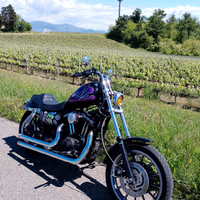 Harley Davidson Sportster 883 accessoriata