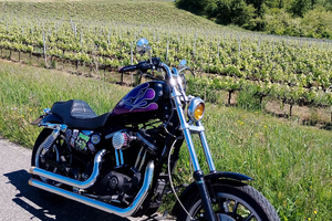 Harley Davidson Sportster 883 accessoriata