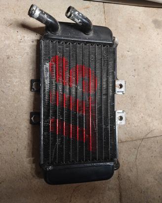 radiatore piaggio nrg