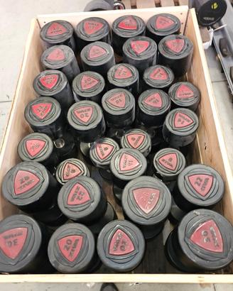 Manubri Ziva - no Technogym