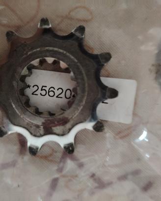 pignone 11 denti 