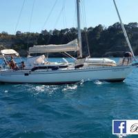 Sun fizz 40 motore nuovo. La nuova moglie vomita