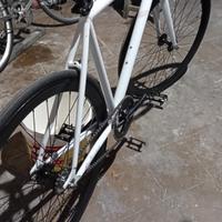 cinelli fixed 