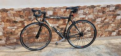 bici in carbonio marca Daccordi 