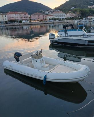 gommone nuova jolly marine 