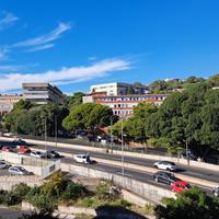 Camera singola per studenti di fronte Cittadella