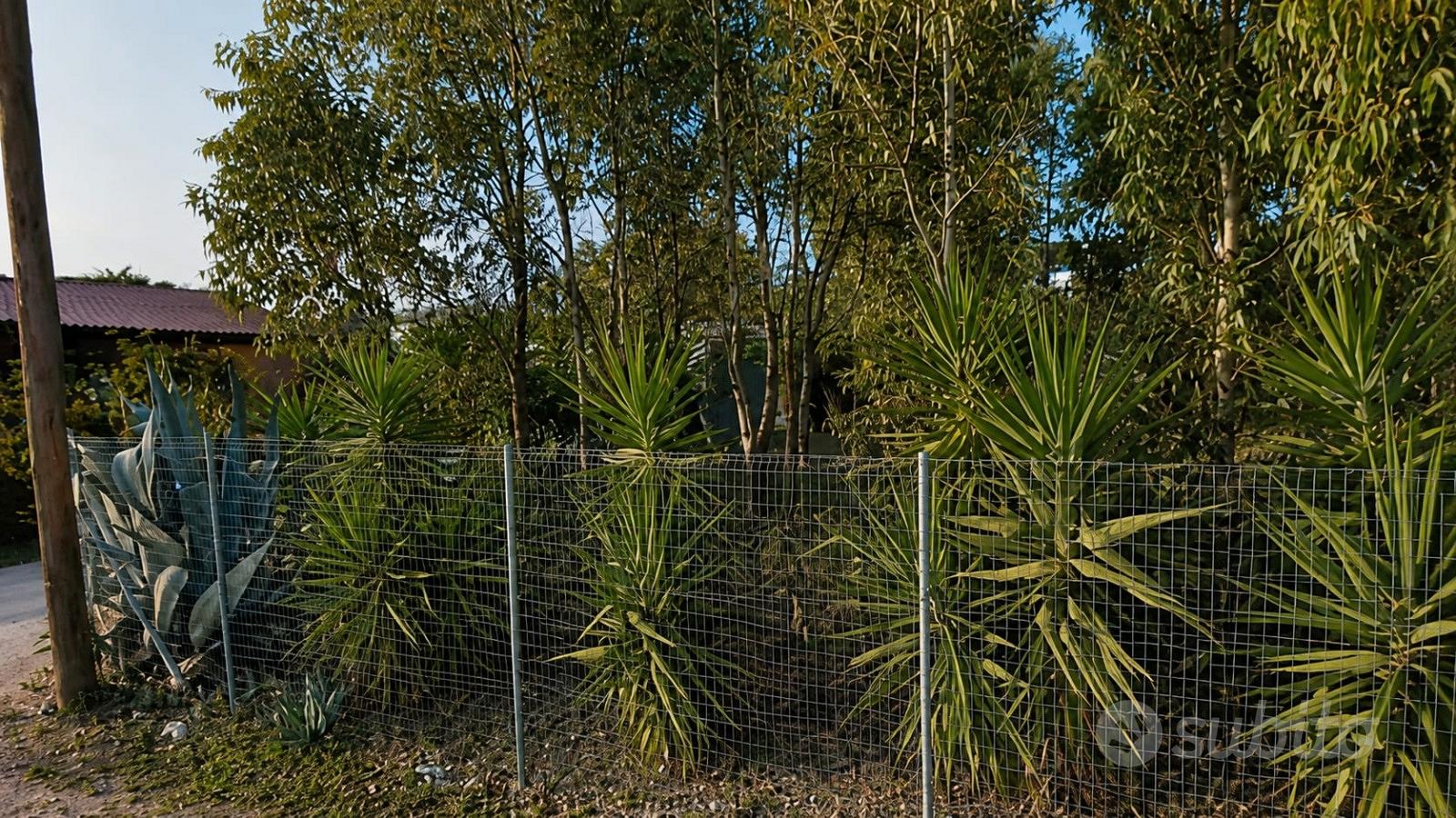 Terreno recintato a Porto Cesareo - Vista 5
