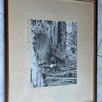 Serigrafia su seta natura incontaminata d’amico