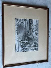 Serigrafia su seta natura incontaminata d’amico