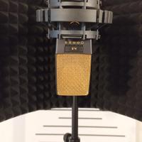 Microfono AKG C414 XLII 