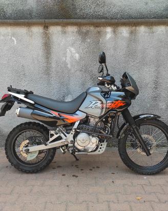 Honda Dominator 
