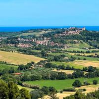 Terreno edificabile a Tavullia