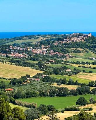 Terreno edificabile a Tavullia