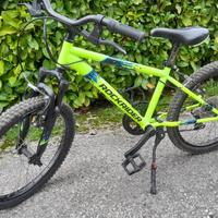 BICICLETTA MOUNTAIN BIKE PER BAMBINO