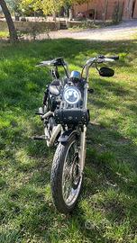 Harley davidson sportster 1200 xl castom