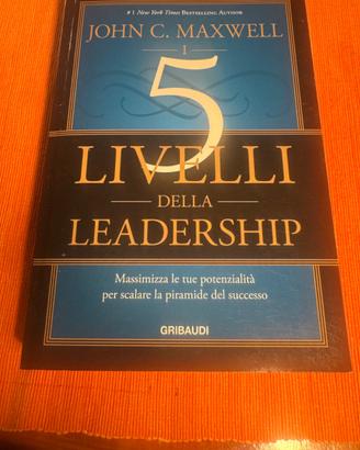 Libri sulla leadeship e richezza