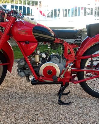 Guzzi airone sport 250