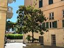 immobile-di-280-m²-con-piu-di-5-locali-a-vado-ligu