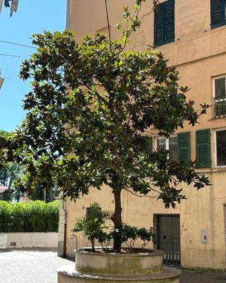 Immobile di 280 m² con più di 5 locali a Vado Ligu