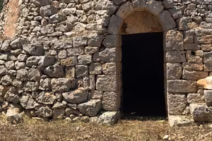 Trullo Autentico, Ulivi secolari
