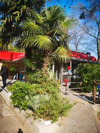 Gelateria Bar