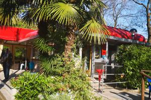 Gelateria Bar