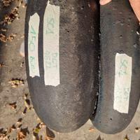 gomme pista pirelli sc1