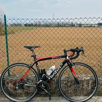 Bici da corsa wilier triestina gtr