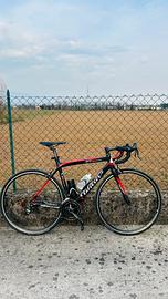 Bici da corsa wilier triestina gtr