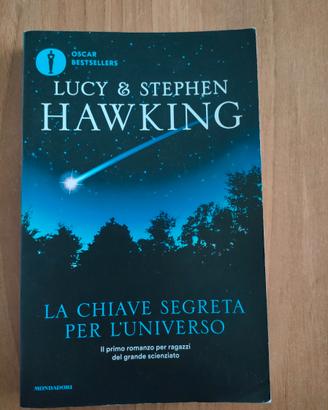 La chiave segreta per l'universo