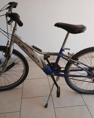 bici da ragazzo