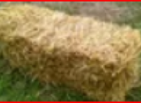 "Paglia in balle da 14 Kg"