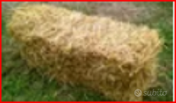 "Paglia in balle da 14 Kg"