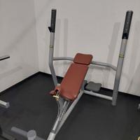 panca inclinata ( alta ) Technogym