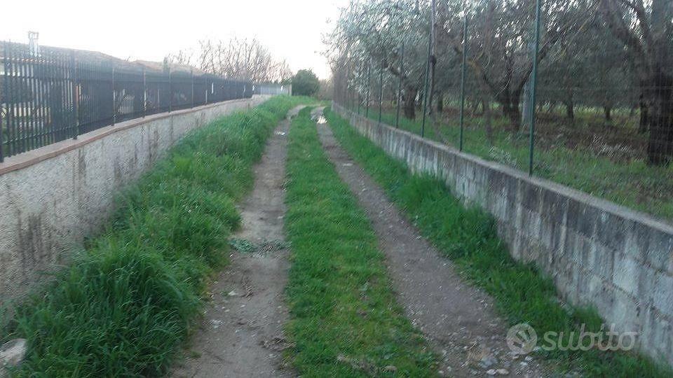 Terreno Castrovillari come da foto - Vista 3