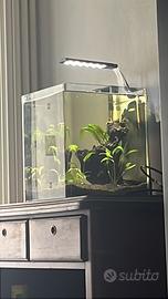 Acquario 30 lt