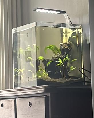 Acquario 30 lt