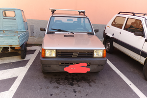Panda