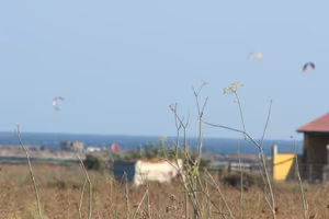 Terreni-e-rustici