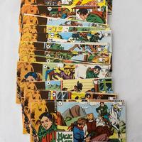 Capitan miki serie completa