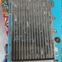 Radiatore completo di bulbo usato Piaggio Beverly