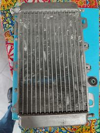 Radiatore completo di bulbo usato Piaggio Beverly