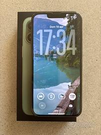 IPhone 13 Pro 256GB Alpine Green - Pari al nuovo