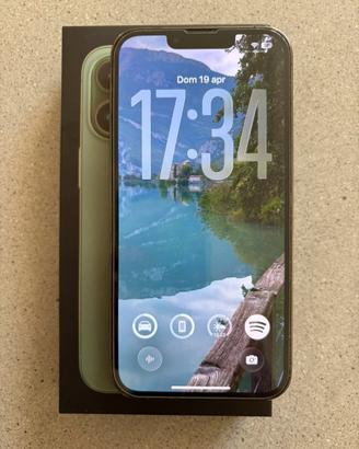 IPhone 13 Pro 256GB Alpine Green - Pari al nuovo